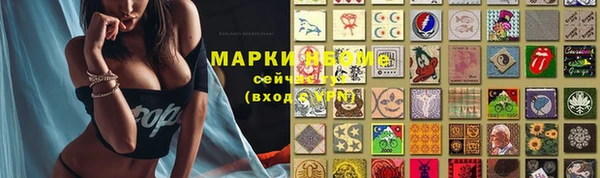 прущие грибы Алексеевка