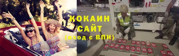 прущие грибы Алексеевка