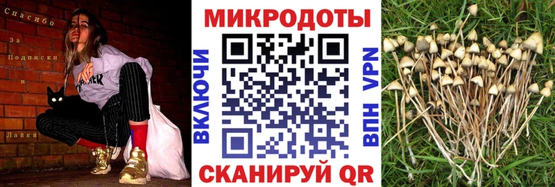 Галлюциногенные грибы Psilocybine cubensis  Перевоз 